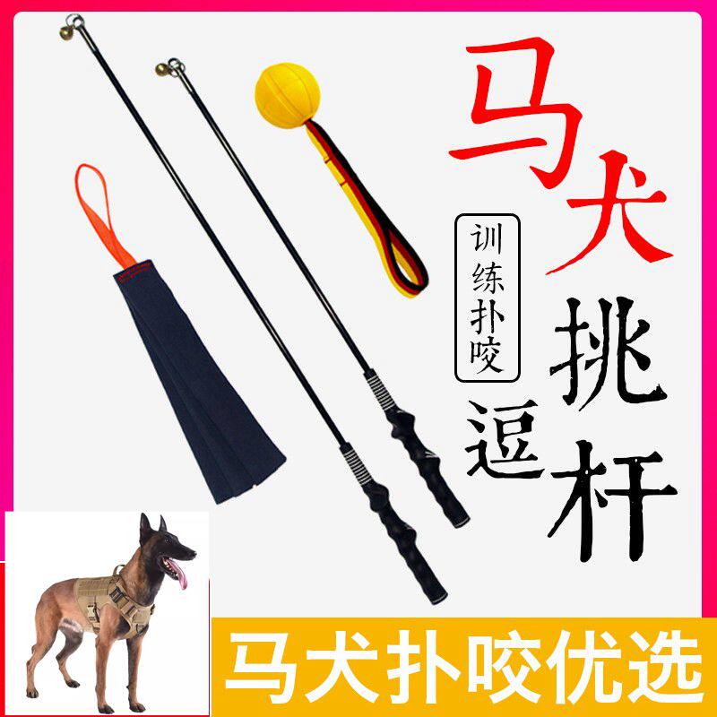 逗引杆狗运动