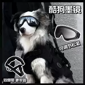 狗狗滑雪镜