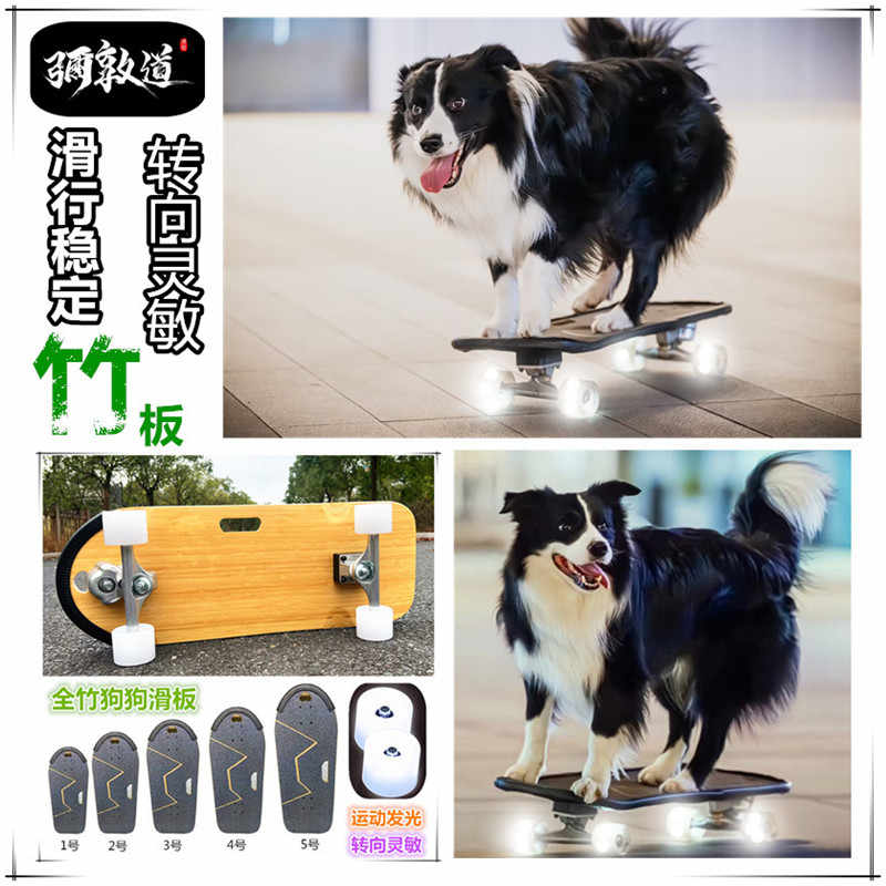 狗狗冲浪板