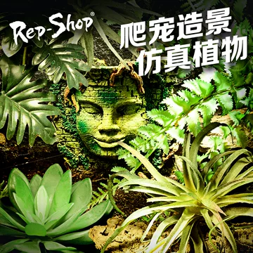 爬虫人造植物
